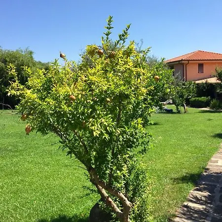 Sa Mola Maria Francesca Bonarcado